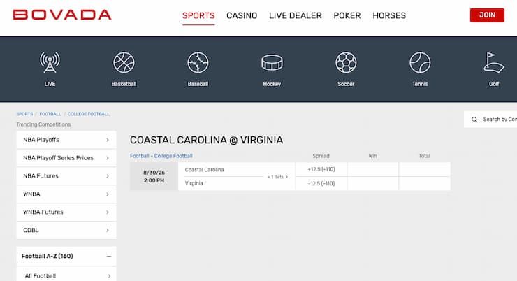 A screenshot of betting odds at the South Carolina betting site Bovada